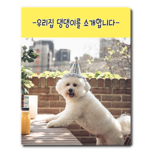 우리집 댕댕이를 소개합니다!