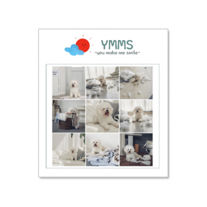 YMMS_5매_폴라