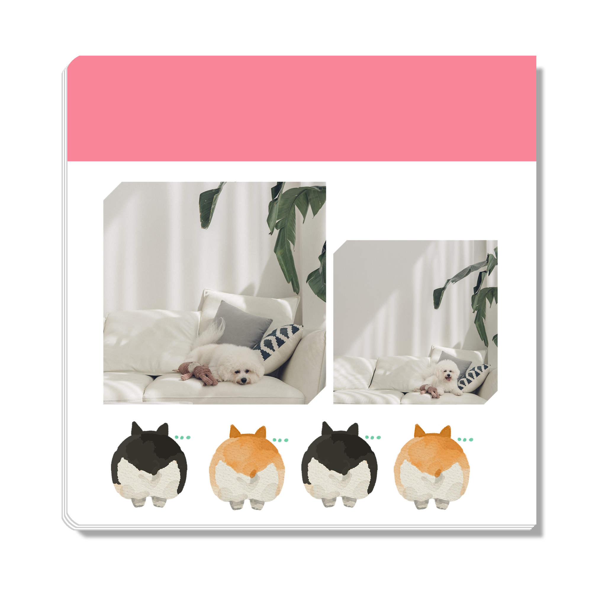 우리집댕댕이_43장