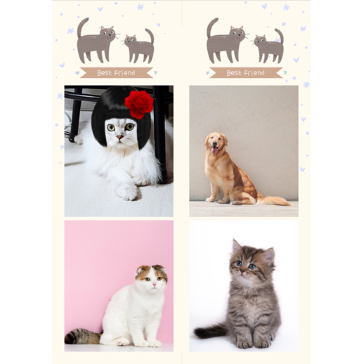 멍냥이건